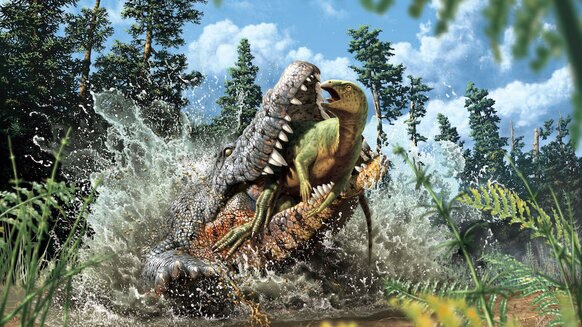 Liz Cretaceous croc