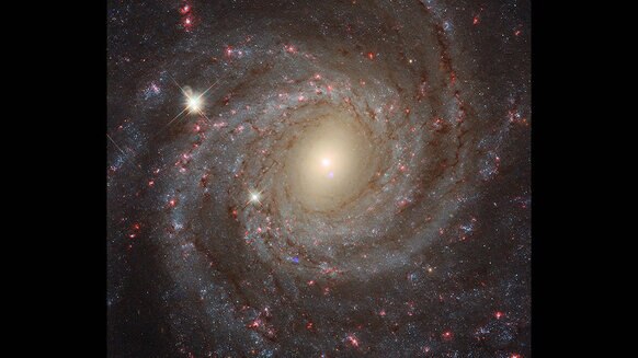 The galaxy NGC 3344