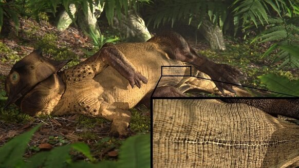 Psittacosaurus Life Reconstruction