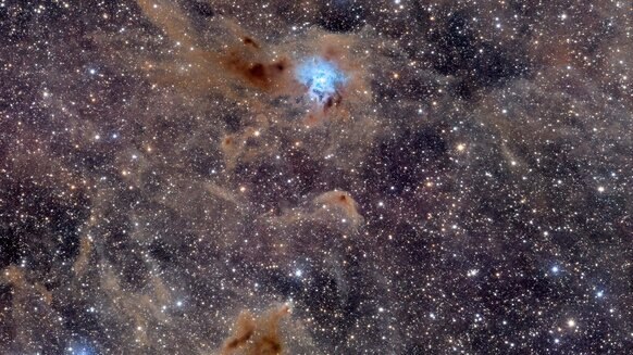 The Iris Nebula is a dust cloud about 1,180 light years away, reflecting the light from a nearby blue star. Credit: Adam Block/Steward Observatory/University of Arizona