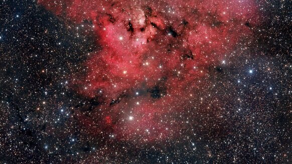 NGC 7822, aka The Question Mark Nebula. Credit: Adam Block /Steward Observatory/University of Arizona
