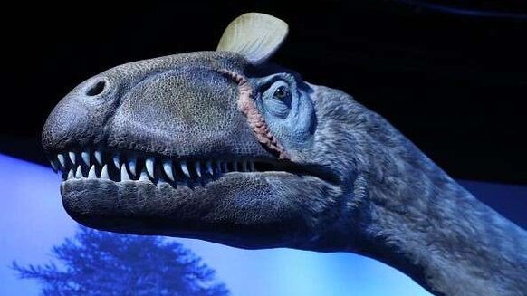  Cryolophosaurus Elvisaurus arctic dinosaur