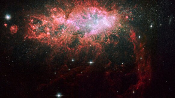 The nearby dwarf galaxy NGC 1569 is bursting with new stars. 