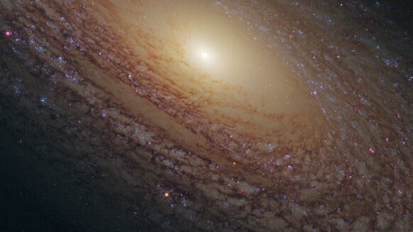 The flocculent spiral galaxy NGC 2841. Credit: NASA, ESA and the Hubble Heritage (STScI/AURA)-ESA/Hubble Collaboration 