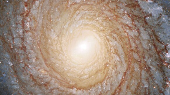 NGC 3147, a face-on spiral galaxy seen by Hubble Space Telescope. Credit: ESA/Hubble & NASA, A. Riess et al.