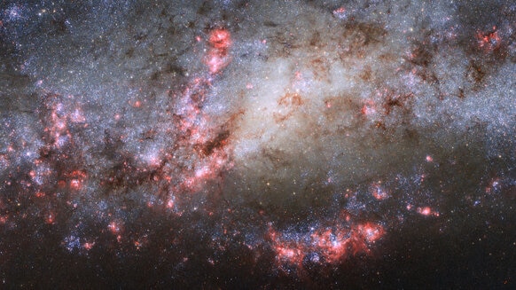NGC 4490, a galaxy bursting with star formation after a recent close encounter with a smaller galaxy. Credit:  ESA/Hubble & NASA Acknowledgements: D. Calzetti (UMass) and the LEGUS Team, J. Maund (University of Sheffield), and R. Chandar (University of To