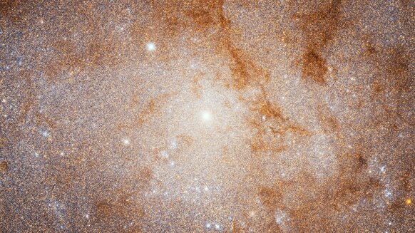The core of M33 (center) is the location of a huge cluster of stars born relatively recently — 70 or so million years ago. Credit: NASA, ESA, and M. Durbin, J. Dalcanton, and B.F. Williams (University of Washington)