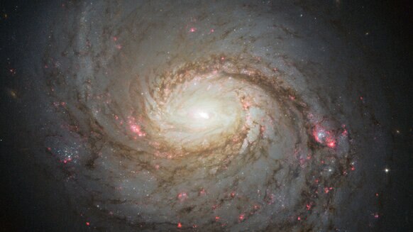 Hubble image of the magnificent spiral galaxy M 77. Credit: NASA, ESA & A. van der Hoeven