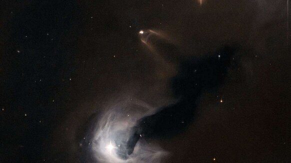 Young Stellar Object NASA