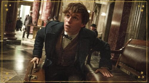 190304_3917053_Fantastic_Beasts_and_Where_to_anvver_17_800x450_1904164419958