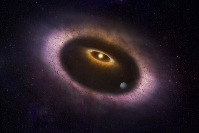 Artwork showing the ring of dust around the star HD 53143