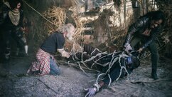 ZNation_recap_204.jpg