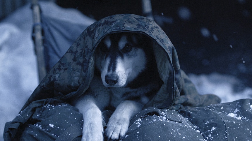 ZNation_gallery_215Recap_06.jpg