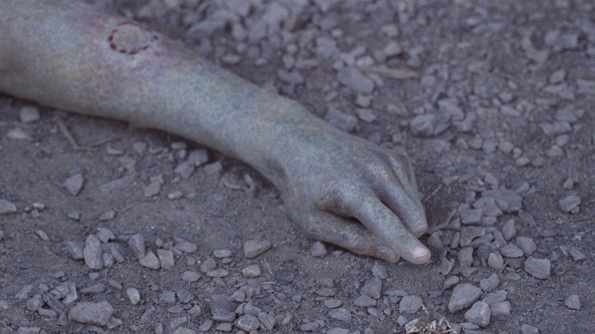 ZNation_gallery_313Recap_04.jpg