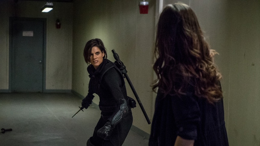 vanhelsing_gallery_206recap_09.jpg