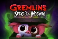 Gremlins Secrets of the Mogwai