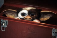 Gizmo from Gremlins (1984)