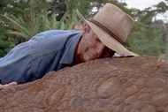 Jurassic Park Sam Neill header