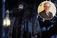 Harry Potter Steven Spielberg inset header