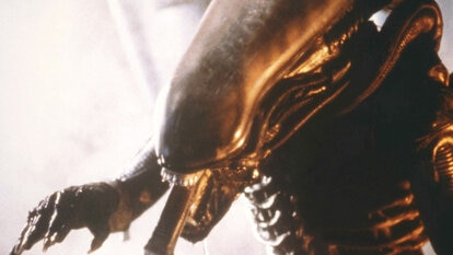 An alien eats something in Alien (1979)