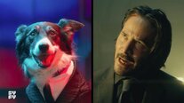Some Very Good Dogs Reenact Key Moments from John Wick for SYFY's Weekend of Wick (Woof!)