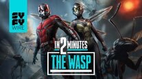 The Wasp In 2 Minutes