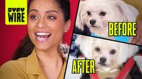 Lilly Singh's Dog Goes Full "King of the North" (Cospets)