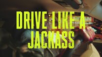 Drive Like a Jackass