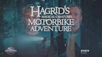 Big News: Hagrid’s Magical Creature Motorbike Adventure Is Coming!