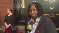 Harry Potter: Whoopi, Ezra Miller, Glenn Close and Others On When They Became Fans