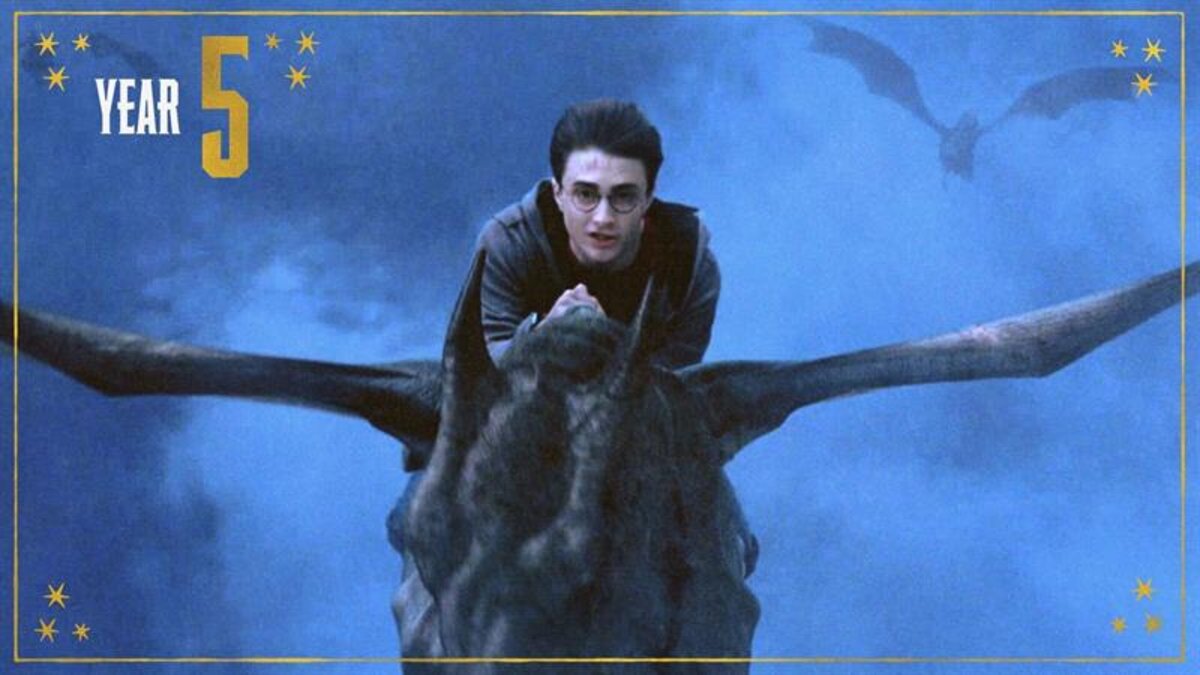 harry potter order of the phoenix streaming