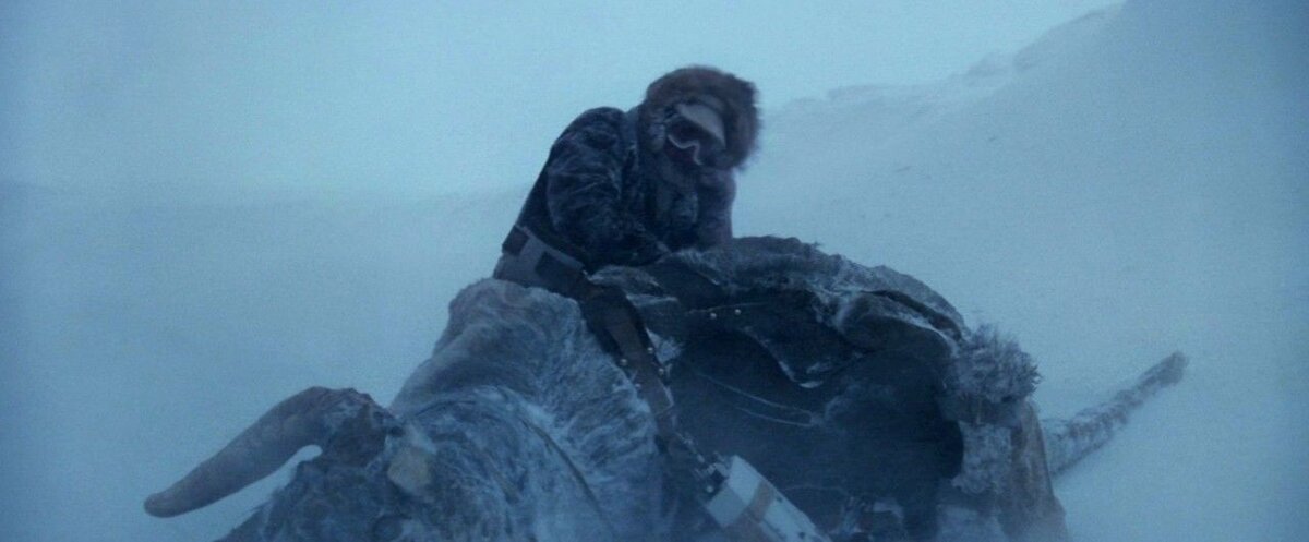 Empire Strikes Back: Could a tauntaun's stomach have kept Luke Skywalker  alive? | SYFY WIRE