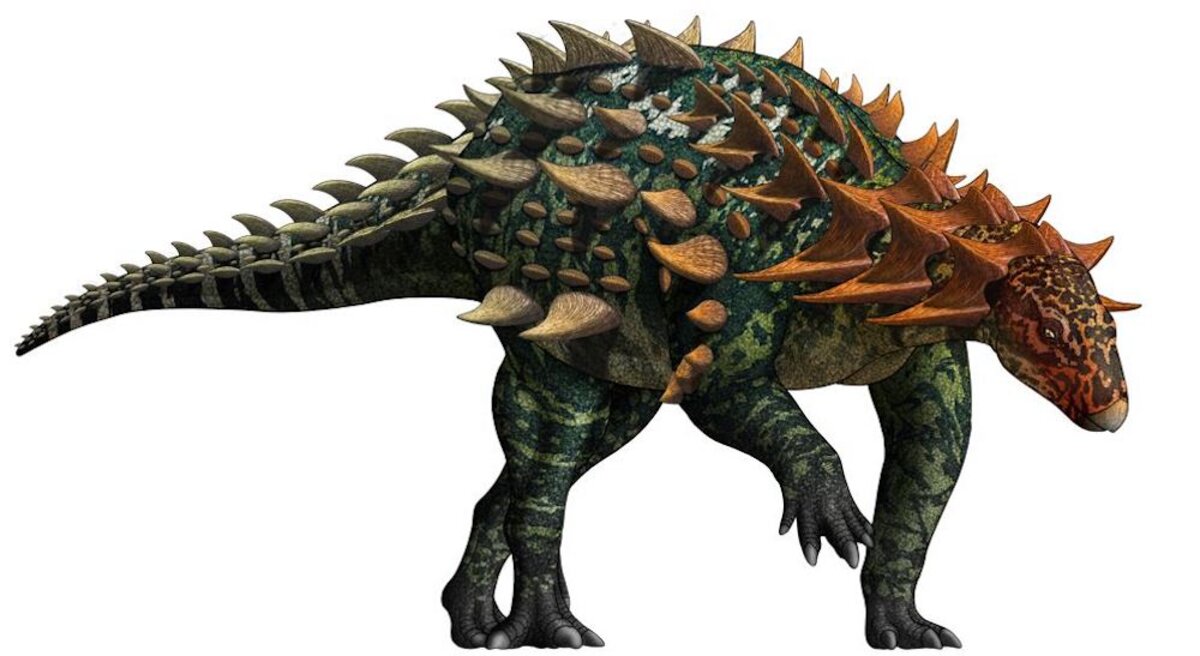 Armored dinosaur Yuxisaurus kopchicki walked on two legs | SYFY WIRE