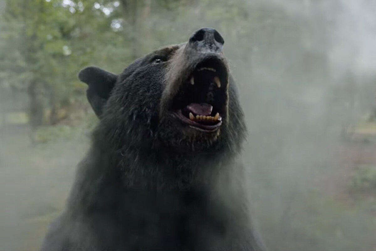 O Urso do Pó Branco: uma comédia violenta que busca o nonsense e esbarra no marasmo