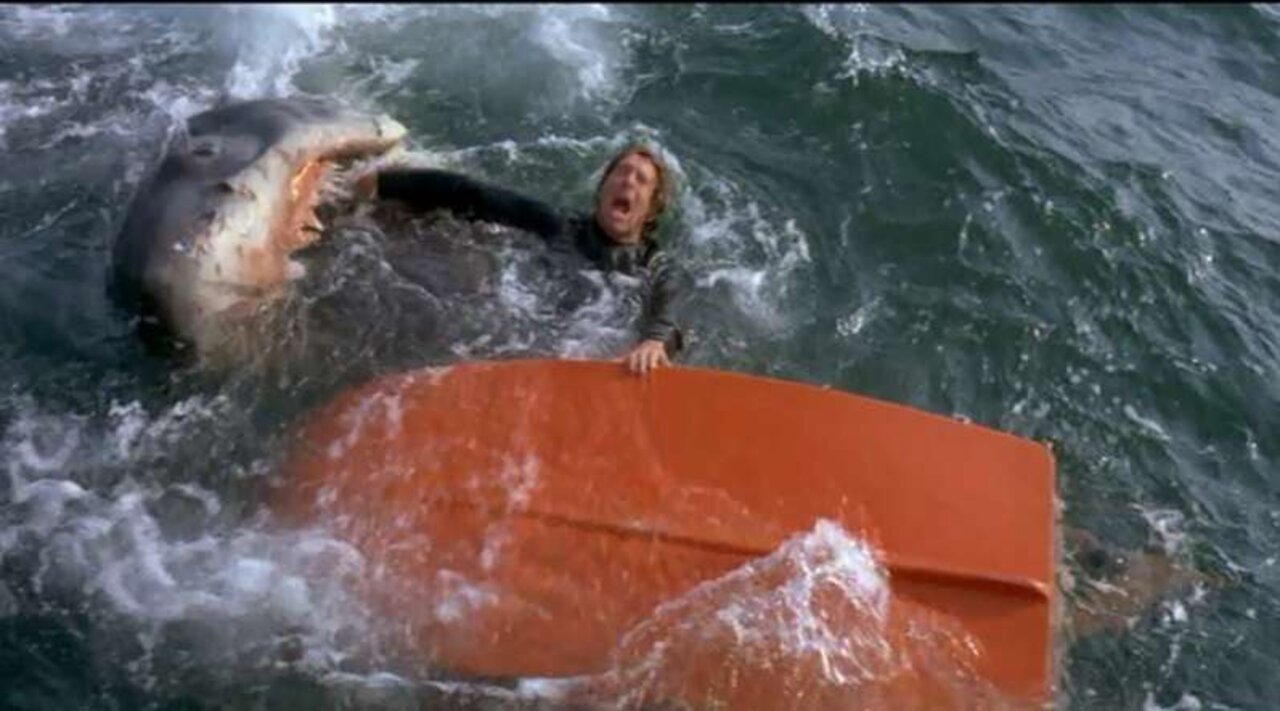 Jaws has an infamous, gory deleted scene — and it's good that Spielberg cut  it