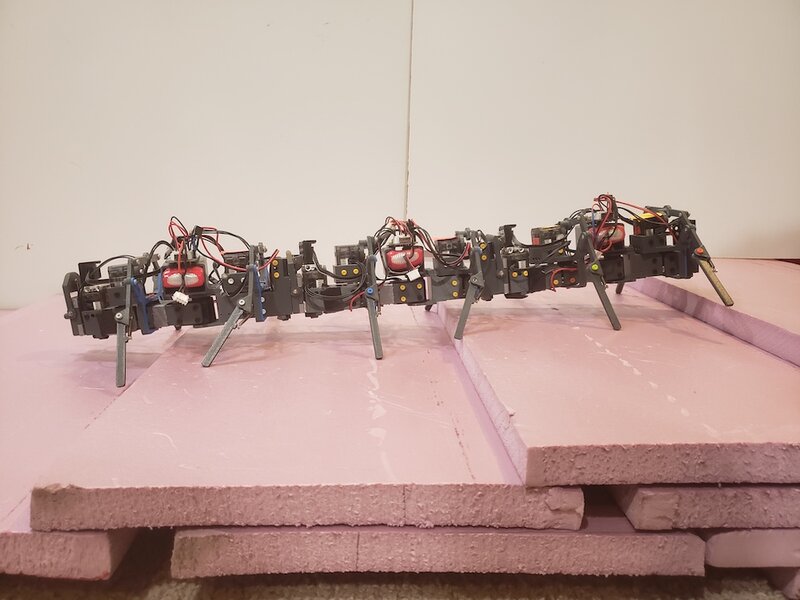 Cassidy 3D printed ant robot