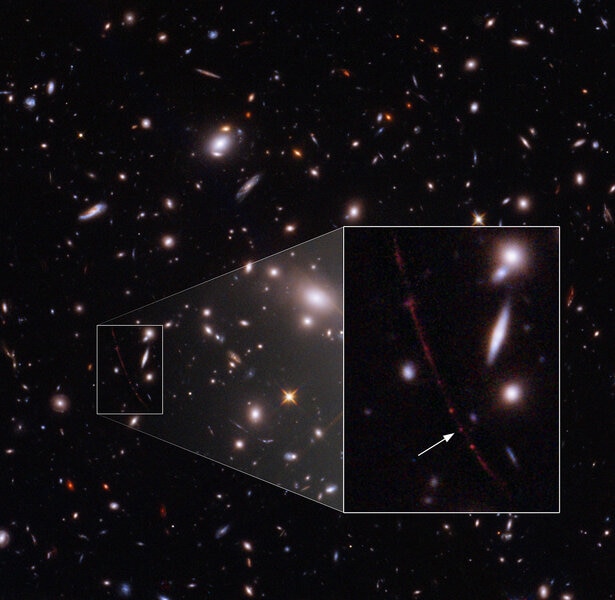The galaxy cluster WHL0137-08