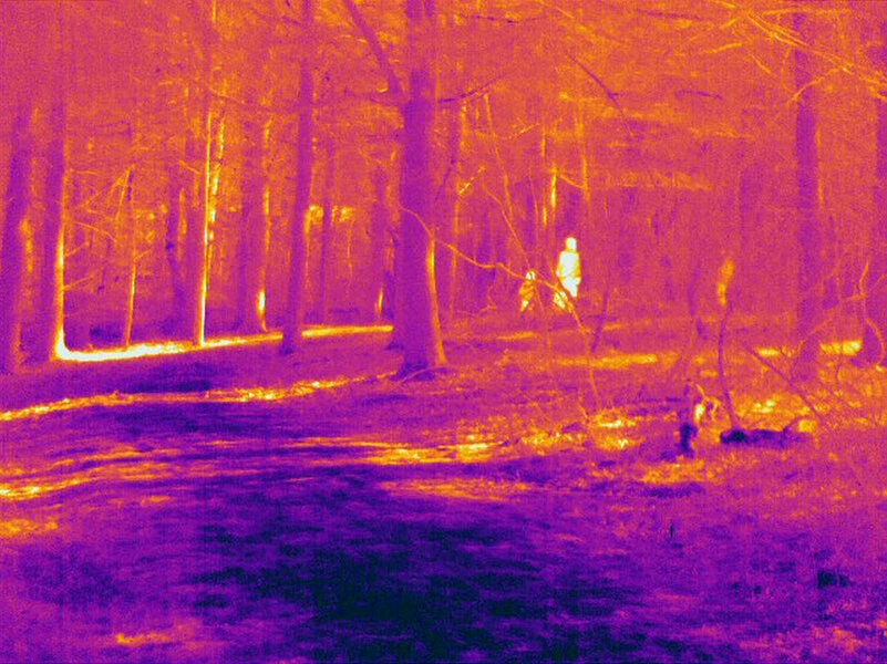 Thermographic image of people walking through woodland