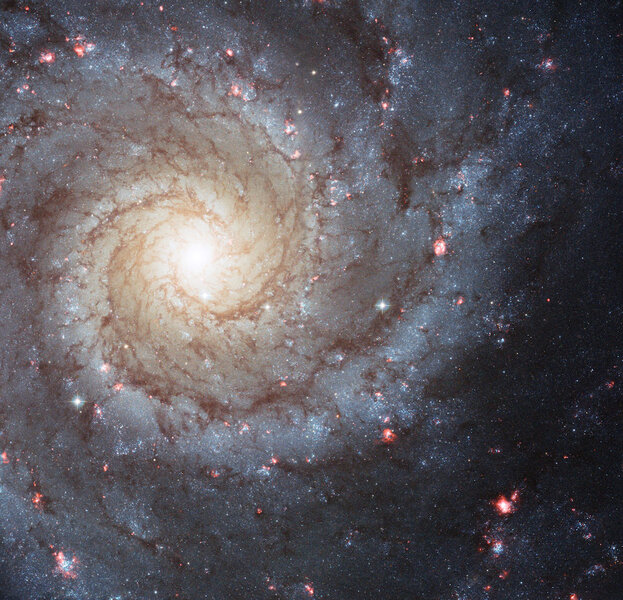 The galaxy M74