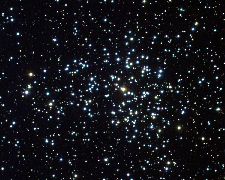 The open cluster M37 is a collection of 4,000+ stars