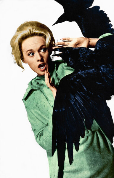 Actress Tippi Hedren in a scene from the movie The Birds (1963)