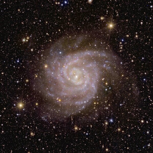 The spiral galaxy IC 342