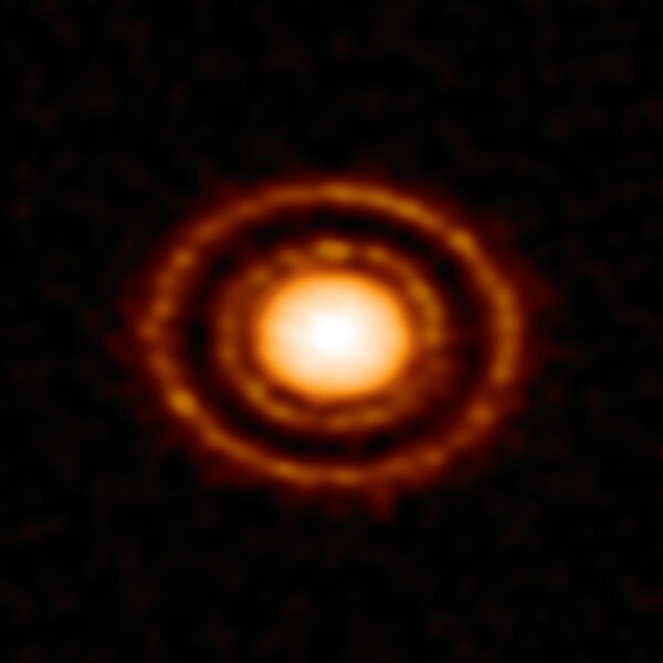 Rings of dust around the very young star AS 209 indicate a planet forming there. Credit: ALMA (ESO/NAOJ/NRAO)/ D. Fedele et al.