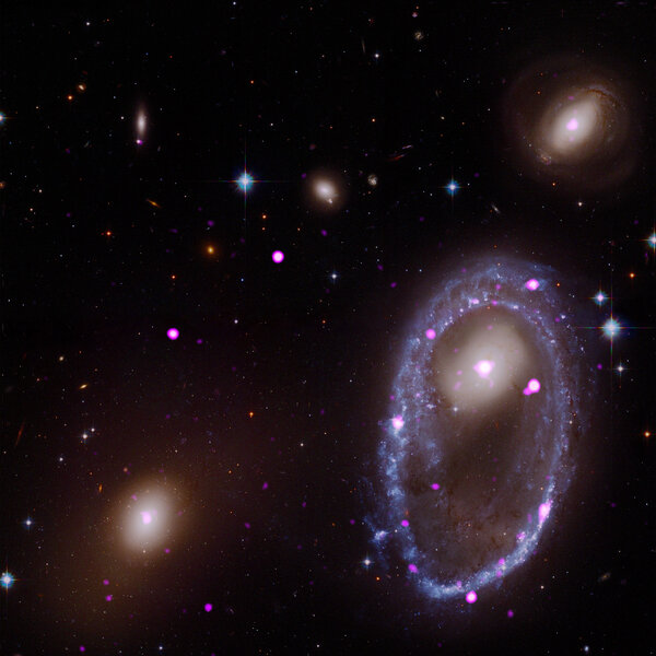 X-ray (purple) and optical (red/green/blue) composite image of AM 0644-071, showing the ring galaxy and the locations of black holes and neutron stars. Credit: X-ray: NASA/CXC/INAF/A. Wolter et al; Optical: NASA/STScI
