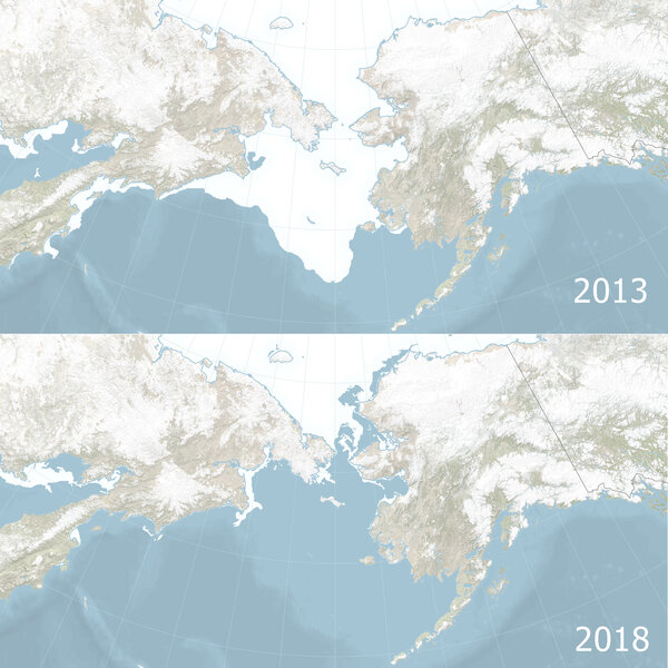 The Bering Sea, between Russia and Alaska, is normally covered with ice in April (top, from 2013), but in 2018 was essentially ice-free (bottom). Credit: NASA Earth Observatory / Joshua Stevens / National Snow and Ice Data Center. 