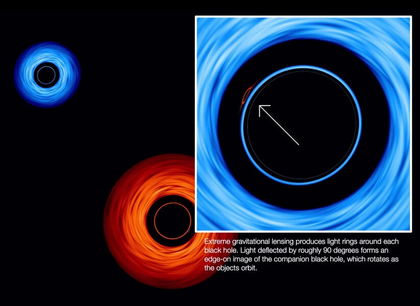 When two black holes orbit each other, light is distorted in unexpected ways. Multiple images of the black holes appear each other (arrowed) as the paths light takes follow the severe warping of space. From the video. 