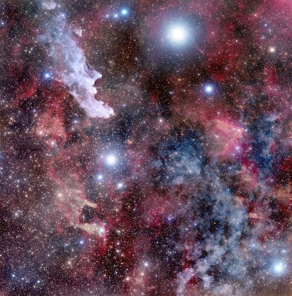 Rigel (top center) is the brightest star in Orion, but in this very deep exposure there is a lot more to see. Credit: Adam Block /Steward Observatory/University of Arizona