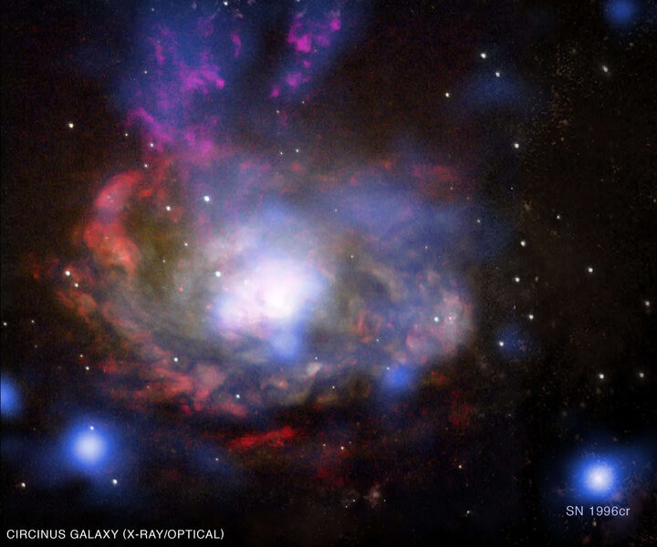Chandra X-ray image (blue) of the Circinus Galaxy, combined with optical images from the Anglo-Australian Telescope (yellow, green, and red), with SN1996cr indicated at the lower right.