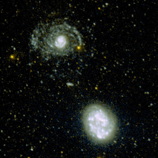 Ultraviolet image of NGC 4625 and 4618, taken with GALEX. Credit: NASA/JPL-Caltech