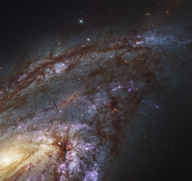 M66 is a nearby spiral galaxy seen at a low angle, highlighting gas and dust in its arms. Credit: NASA, ESA, and the LEGUS team